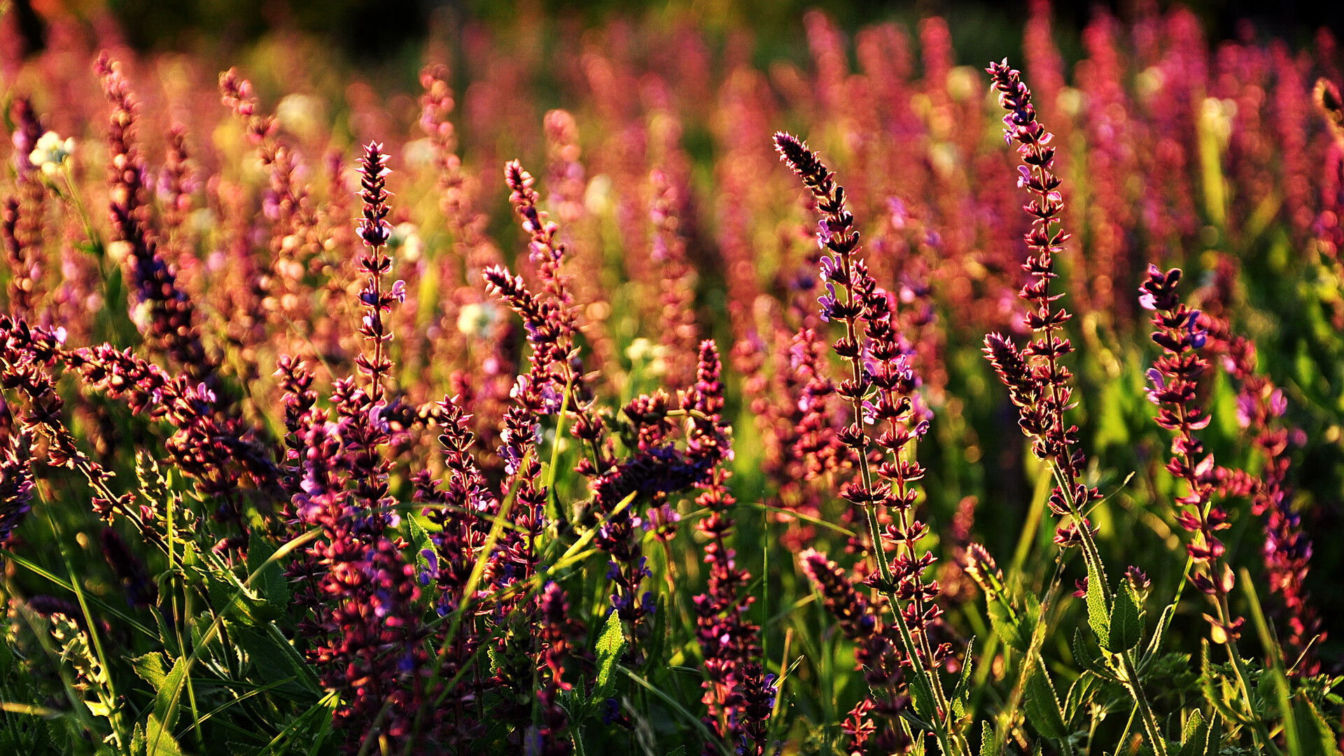 九游游戏-“史诗逆转！球队X在最后两局实现惊天大逆袭”