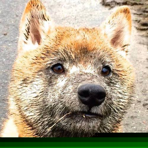 九游下载官网-【“极速投球”战术】竞技水平飞升背后的科技引擎！，极速投票平台