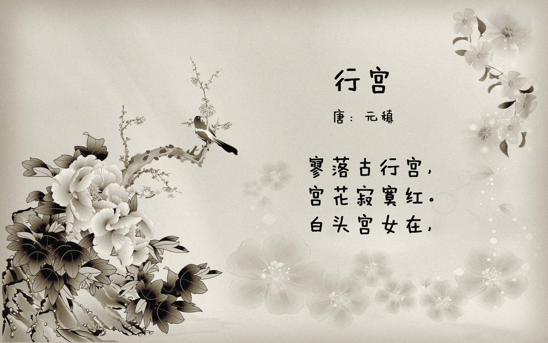 九游体育电竞-全国青少年篮球“冠军探索营”吸引数百青少年踊跃报名，2019全国青少年篮球特色学校